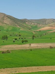 بوکان