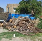 کشف ۱۲ تن چوب قاچاق در بوکان