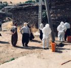 کنترل کامل بیماری گزش کنه در ابراهیم‌خسار
