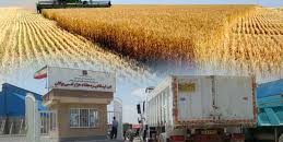 کشاورزی بوکان در آستانه فروپاشی