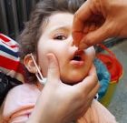 تداوم اجرای برنامه‌های مکمل رایگان بهداشت در بوکان