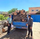 توقیف سه خودروی حامل چوب قاچاق در بوکان
